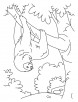 Tumbling sloth coloring pages