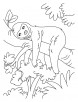 Lazy sloth coloring pages