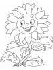 Smiley sunflower coloring page