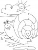 Sun rising, snail falling coloring pages