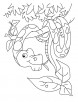 New year snake coloring pages