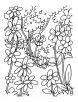 A blooming field of flowers coloring pages