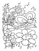 Spring time coloring pages