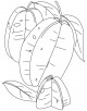 Starfruit Coloring Page