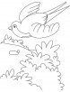 A flying swallow bird coloring page