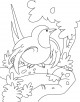 Swallow Coloring Page