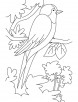 Black saw wing coloring page