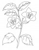 Bell Flower Coloring Page
