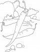 Chilli Coloring Page