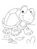 Tortoise won the race coloring pages