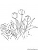 Tulip in garden coloring page