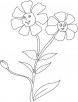 Two turkish flower coloring page