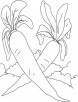 Two white radish coloring page