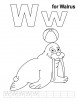 W for walrus coloring page with handwriting practice