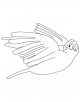 Canary Bird Coloring Page
