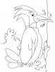 Great spotted woodpecker coloring pages