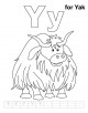 Letter Yy printable coloring page