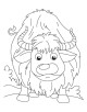 Yak Coloring Page Yak Coloring Page