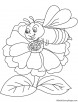 Zinnia attracts bee coloring page