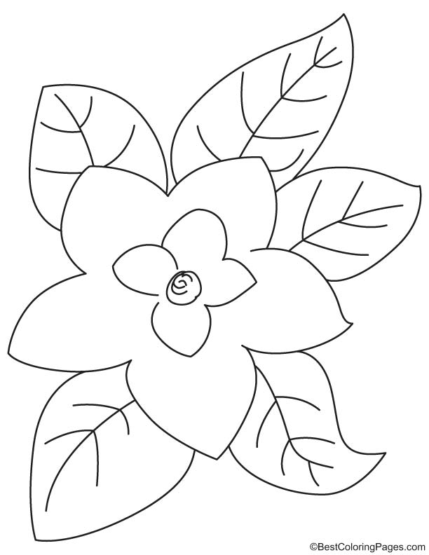 Magnolia with leaves coloring page