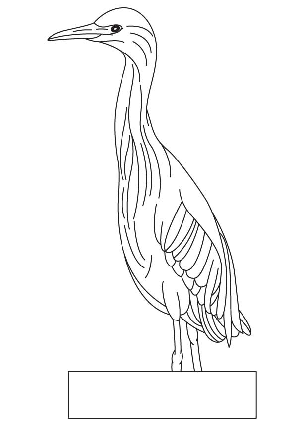 A small bird coloring page