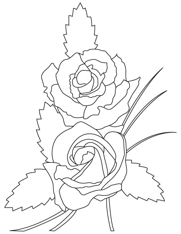 Amber flush coloring page