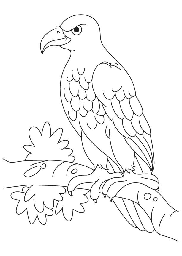 An angry eagle sitting coloring page