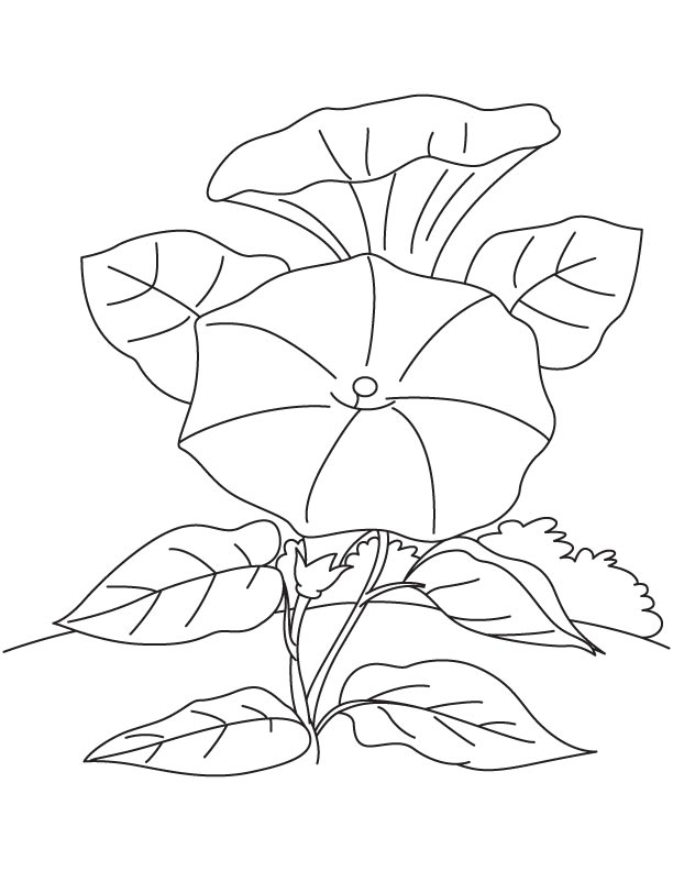 Climbing flower field coloring page