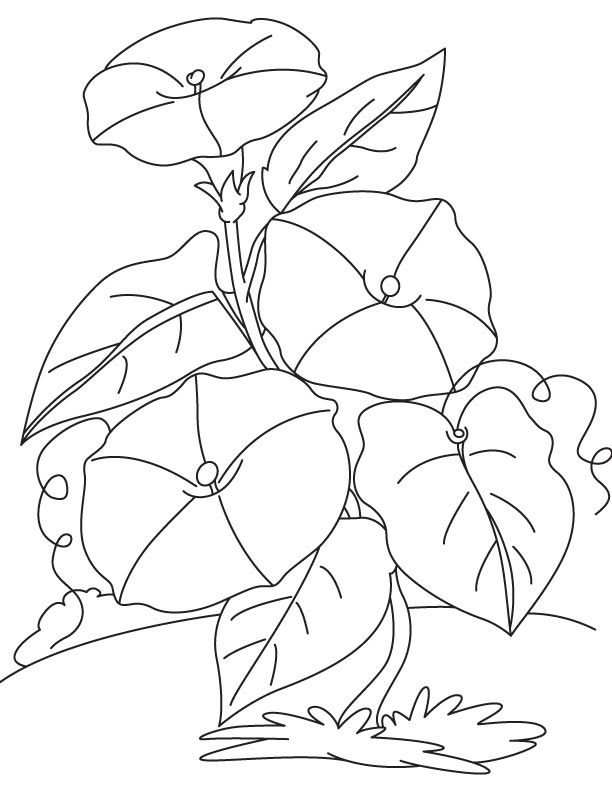 Climbing flowers coloring page