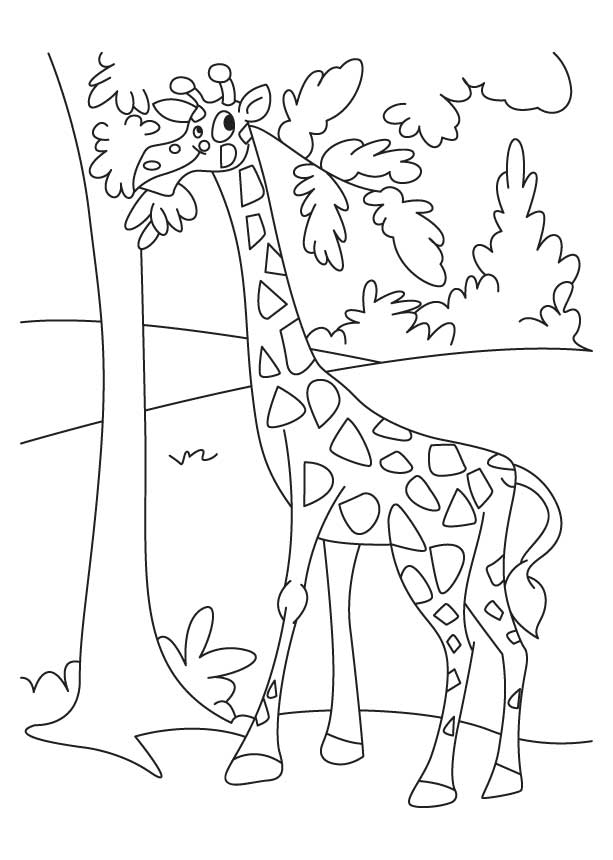 Giraffe enjoying leaves coloring pages
