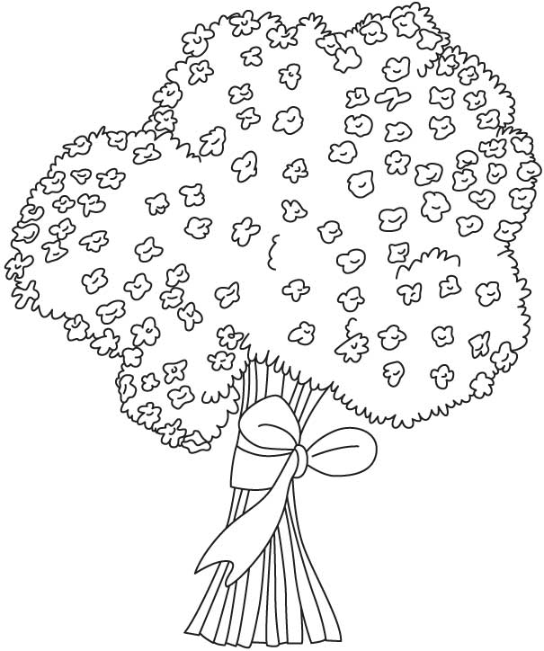 Gypsophila flower coloring page