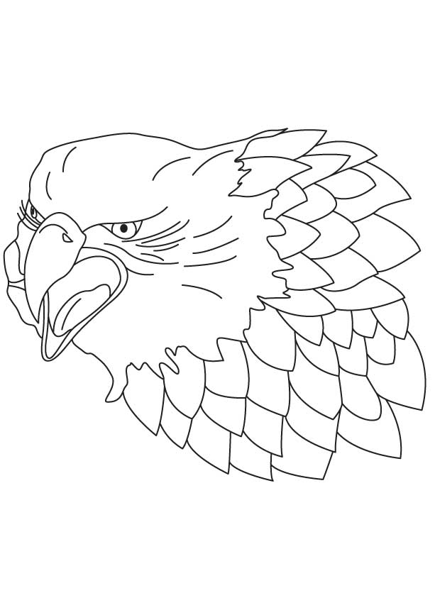 Head of falcon coloring page