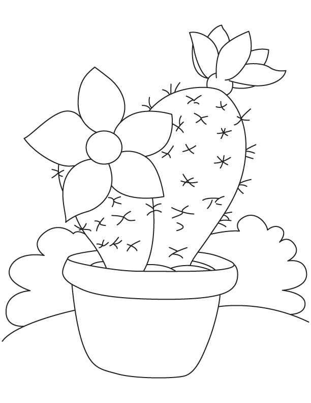 Large flower on cactus coloring page