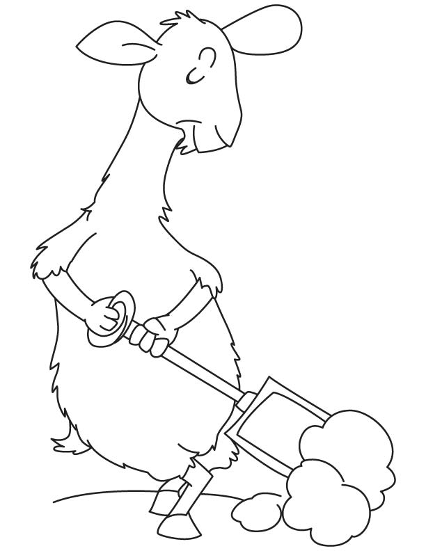 Llama working coloring page