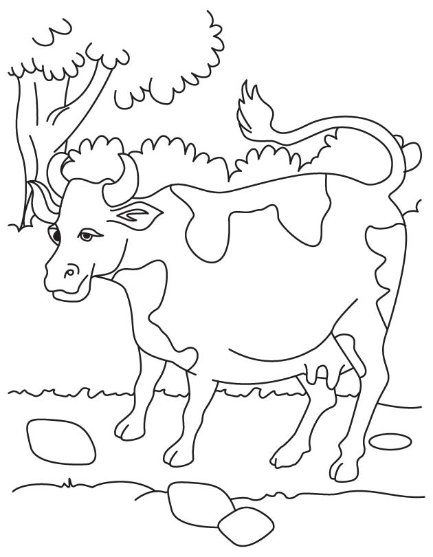 Milk resource the cow coloring page