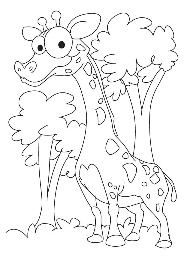 Mini giraffe coloring pages