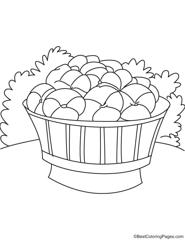 Pansy in the bucket coloring page
