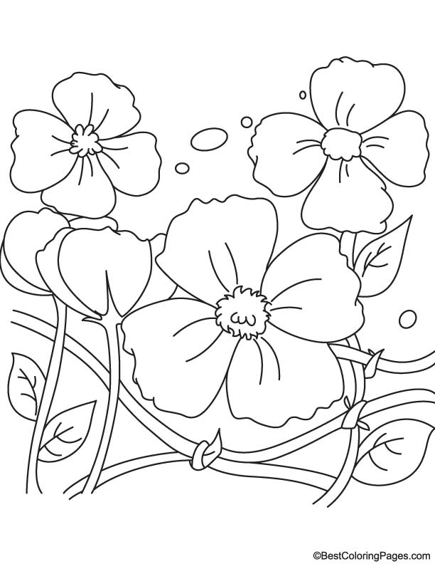 Remembrance Day poppies coloring page