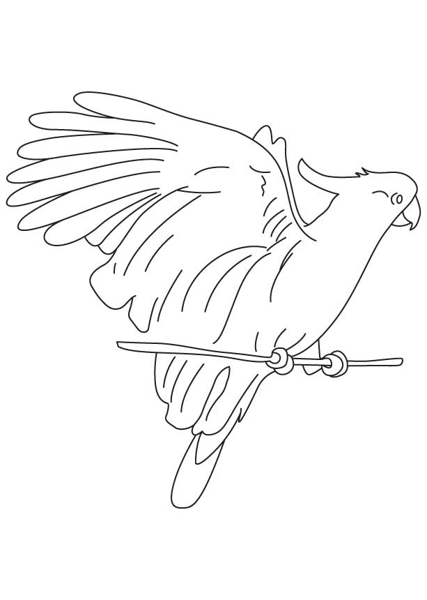 Tubers eating cockatoo coloring page