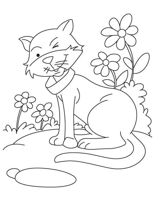 Twinkle Twinkle happy cat coloring pages