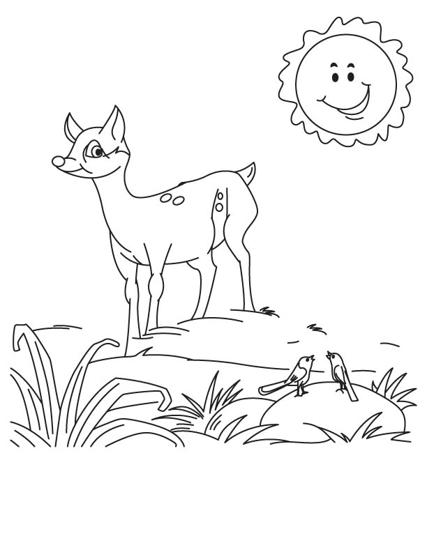 A deer fawn coloring page