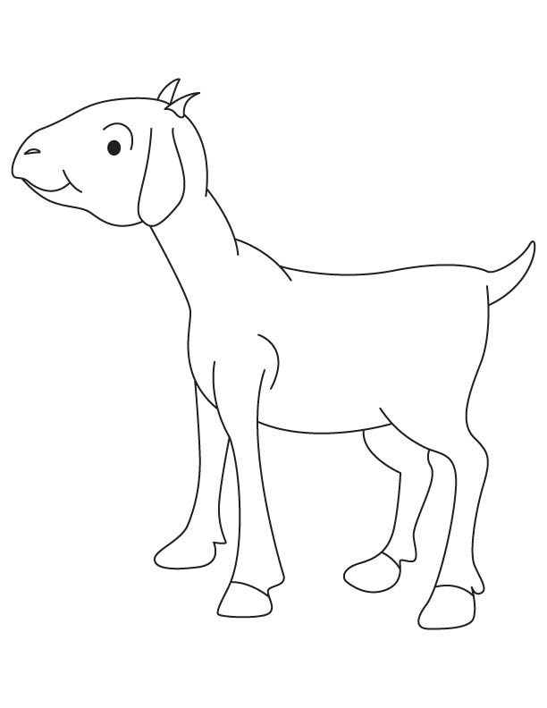 A goat billy coloring page
