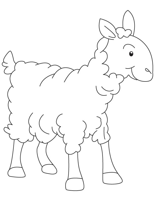 A lambkin coloring page