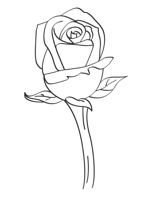 A rose to say... coloring page
