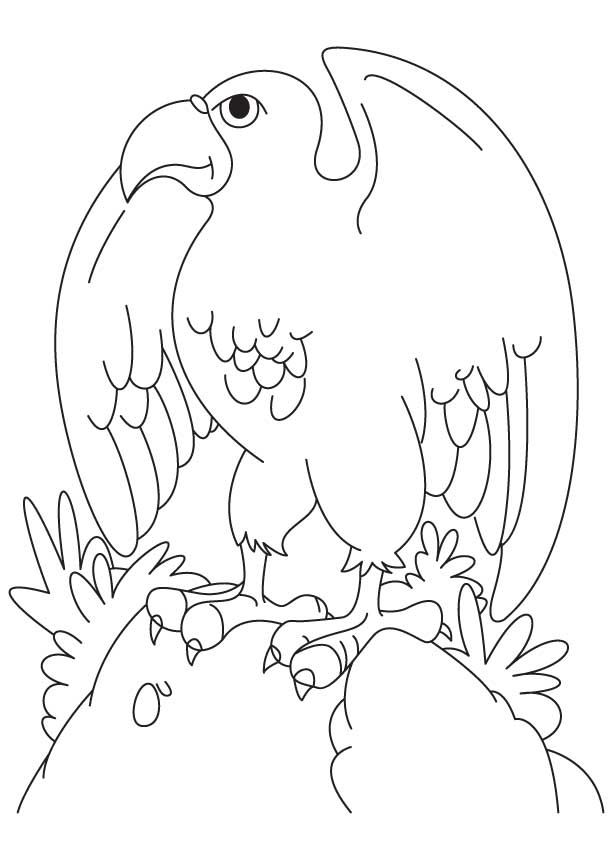 A spreading wings eagle coloring page