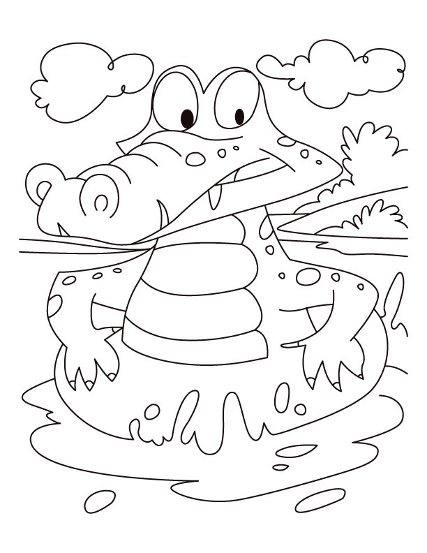Alligator on a swim drill coloring pages