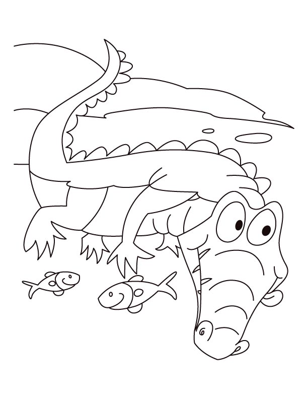 Alligator motto-Live n let live coloring pages