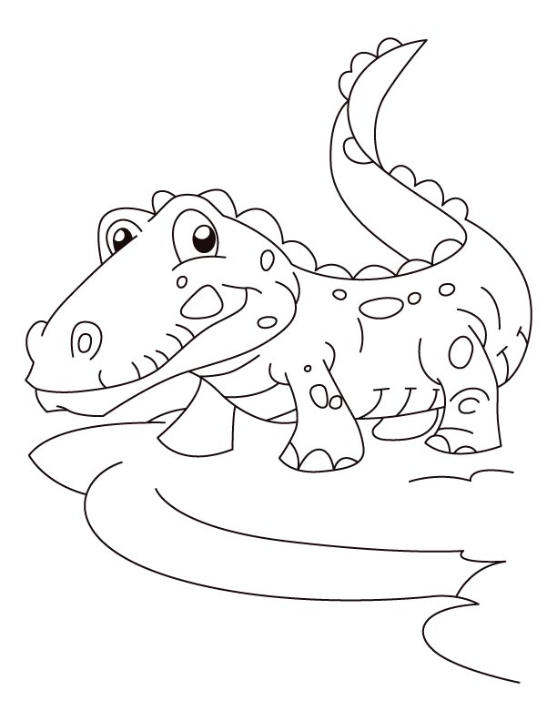 Joyful alligator coloring pages
