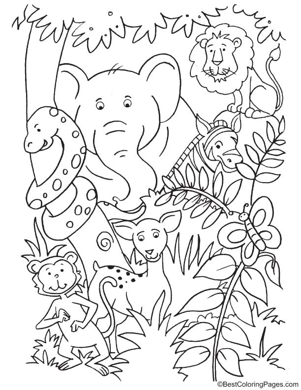 Animals inside the jungle coloring page