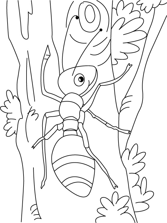 Ant-climbing art coloring pages